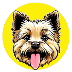 TOTO